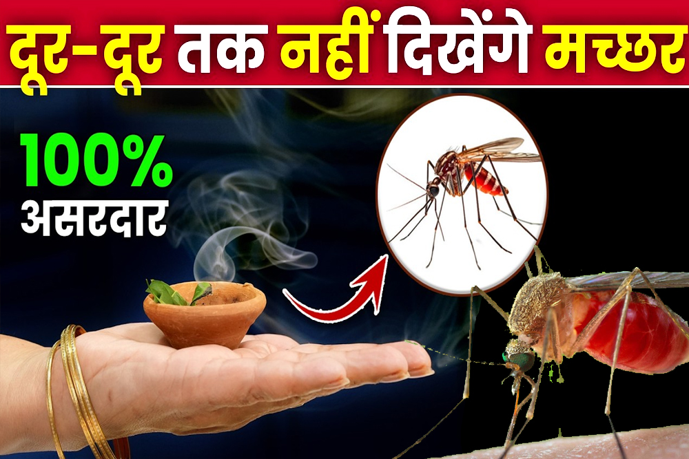 10 रुपये में बनाएं मच्छर भगाने की जादुई दवा, पास भी नहीं आएंगे मच्छर!