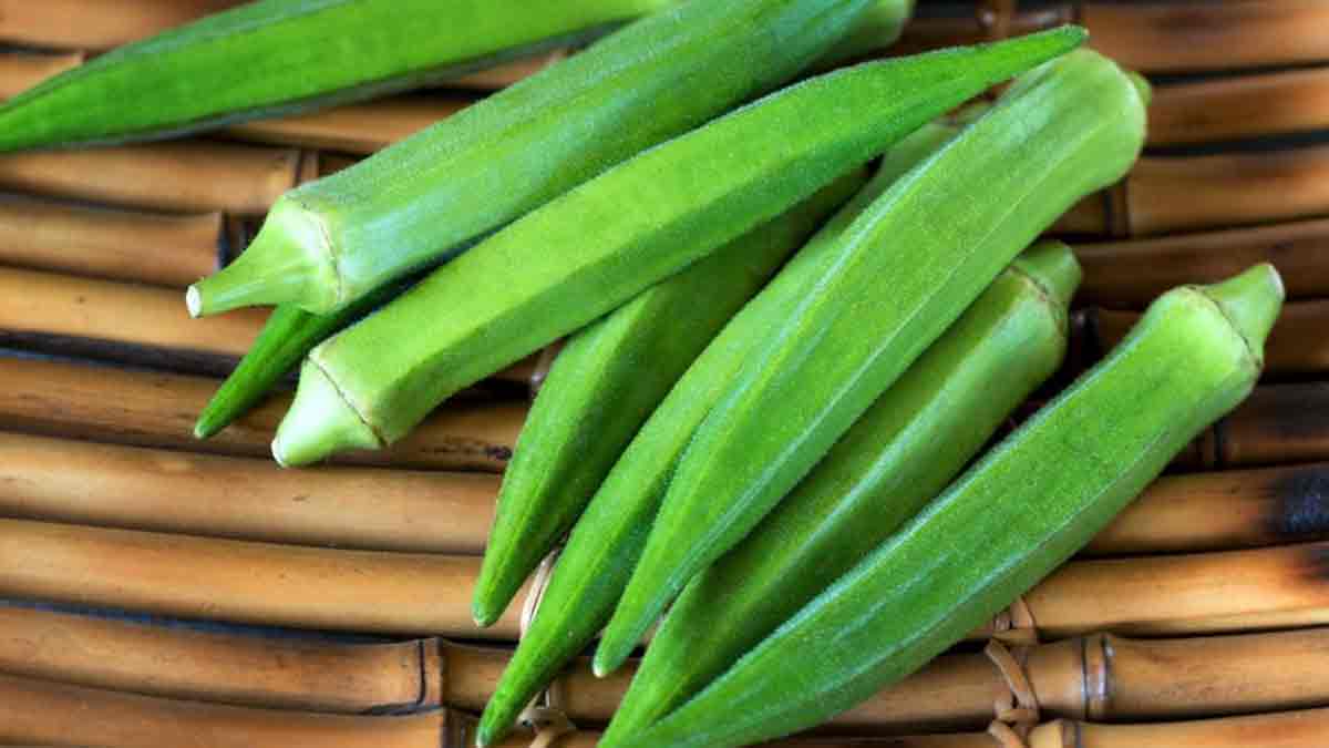 भिंडी खाने से पहले जान लें ये जरूरी बातें – किन लोगों को नहीं खानी चाहिए?