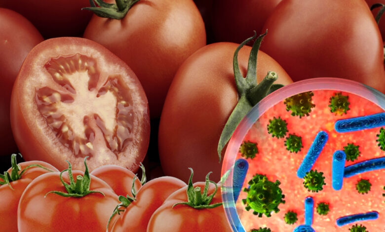टमाटर से 'मौत' का खतरा