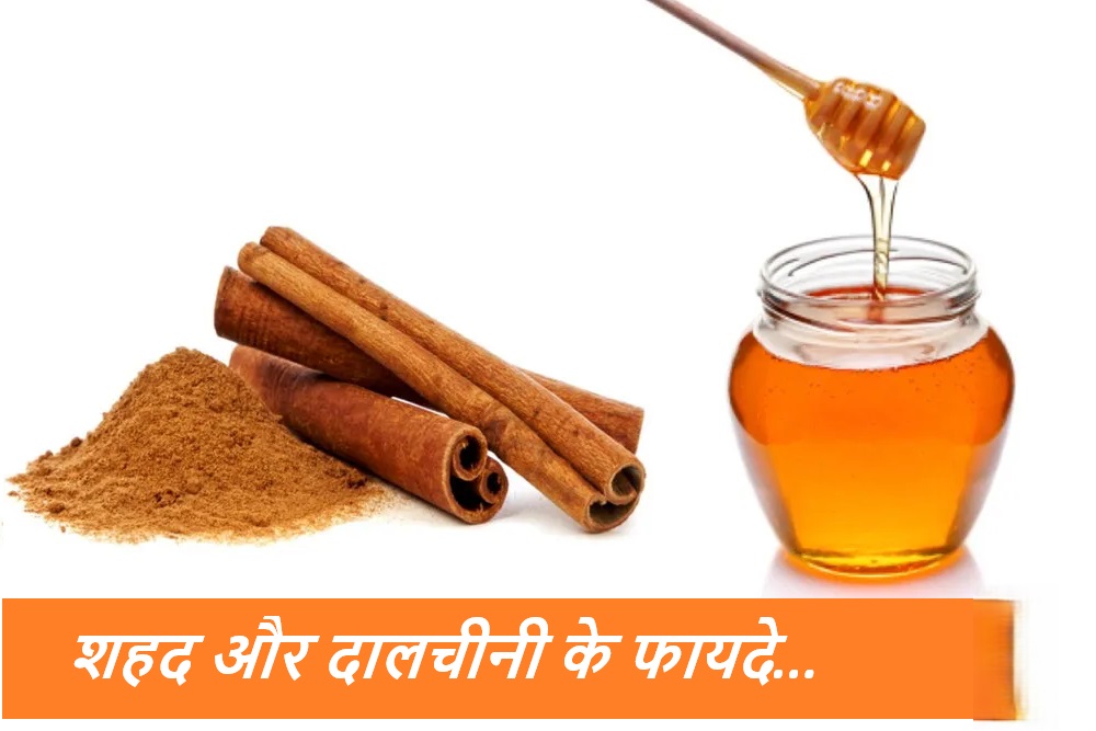 🍯 दालचीनी और शहद एक साथ लेना अमृत समान: जानें इसके चमत्कारी फायदे
