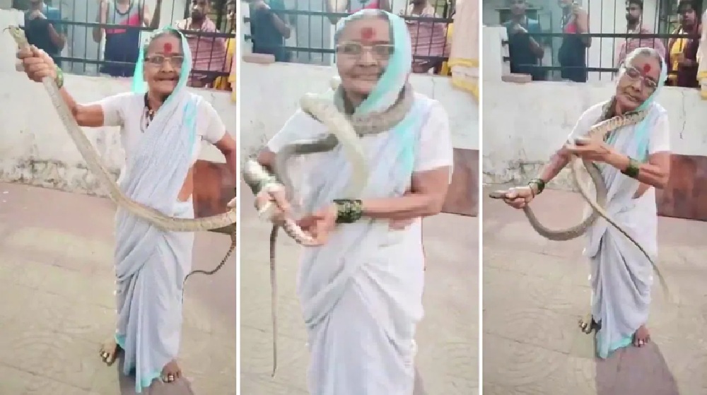 Viral Video: ‘डेरिंग दादी’ का कमाल! 8 फीट लंबा सांप गले में डाला, फिर जो कहा वो सुनकर रह जाएंगे दंग