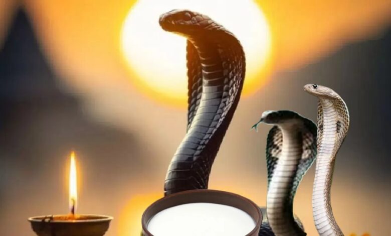 नाग पंचमी पर लोहे का इस्तेमाल