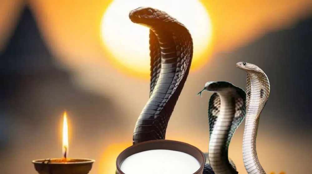 नाग पंचमी पर क्यों नहीं करते लोहे का इस्तेमाल? जानिए इसके पीछे की धार्मिक और ज्योतिषीय वजह