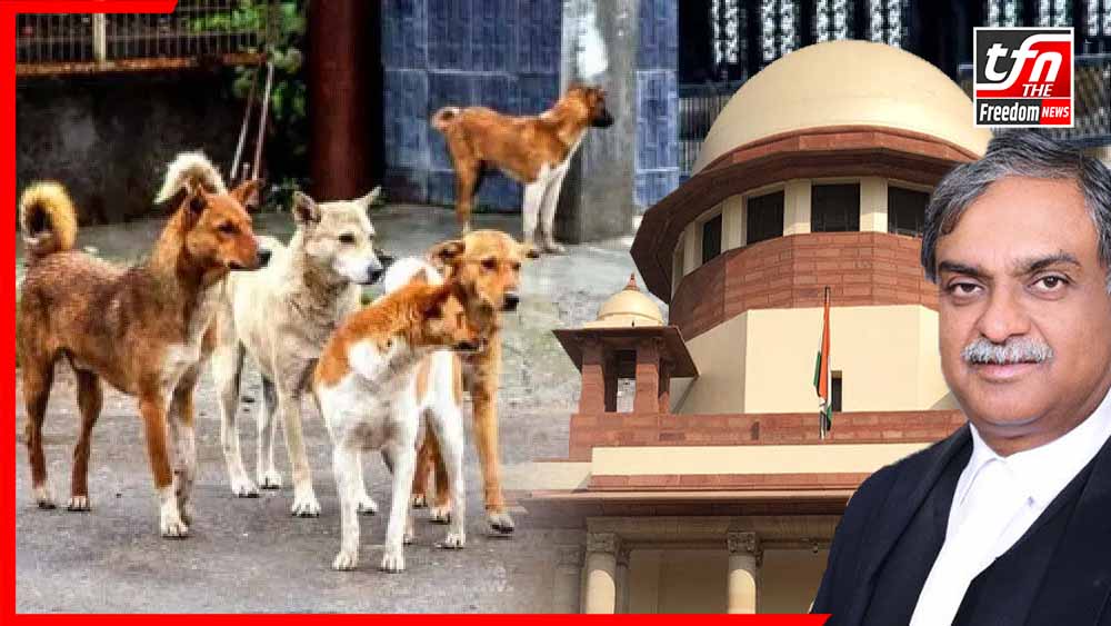 “आवारा कुत्तों का आभारी हूं…” – सुप्रीम कोर्ट के जज विक्रम नाथ का हल्के-फुल्के अंदाज़ में बड़ा बयान