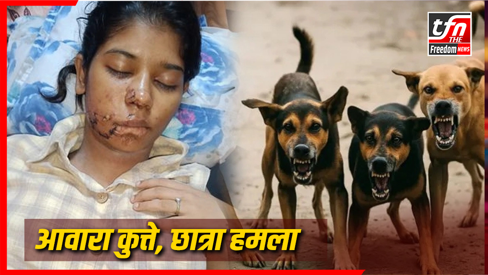 कानपुर: आवारा कुत्तों ने कॉलेज छात्रा के चेहरे को नोच डाला, 17 टांके लगे