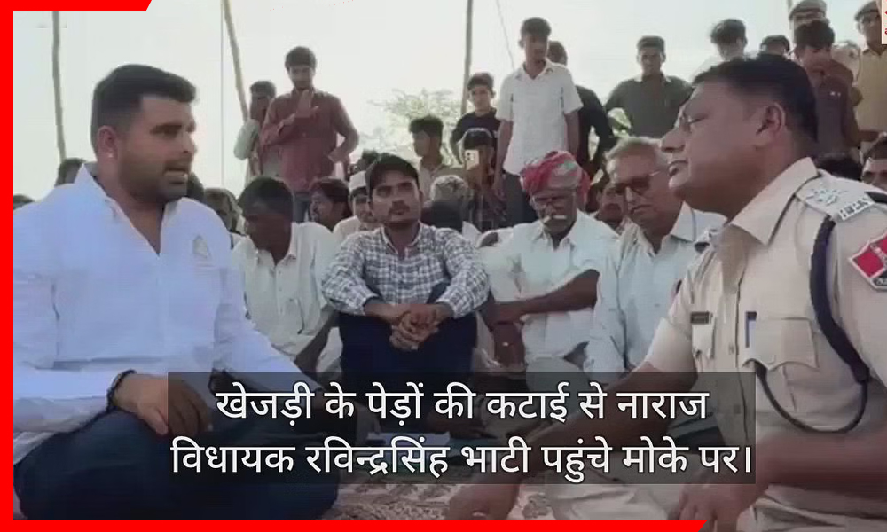 खेजड़ी वृक्षों की कटाई पर भड़के विधायक रविन्द्र भाटी, सोलर कंपनियों पर लगाया सबूत जलाने का आरोप