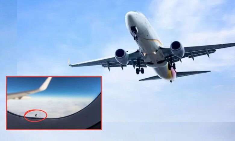 Airplane Secrets: हवाई जहाज की खिड़की पर ये छोटा छेद आखिर क्यों होता है? जानिए इससे जुड़ा बड़ा राज़!"