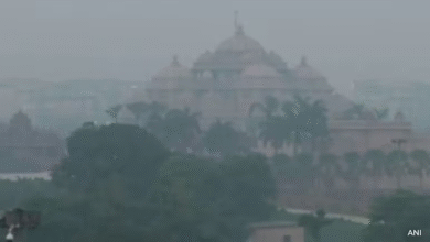 Delhi Air Pollution: दिल्ली की सबसे दमघोंटू दिवाली - पटाखे, धीमी हवाएं और जहरीली हवा!