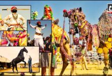 Pushkar Fair 2025: ऊंटों की धरती पर रंगीन जश्न – जानिए कब, कहां और कैसे मनाया जाएगा भारत का सबसे अनोखा पुष्कर मेला