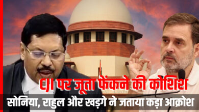 Attempt to throw a shoe at the CJI