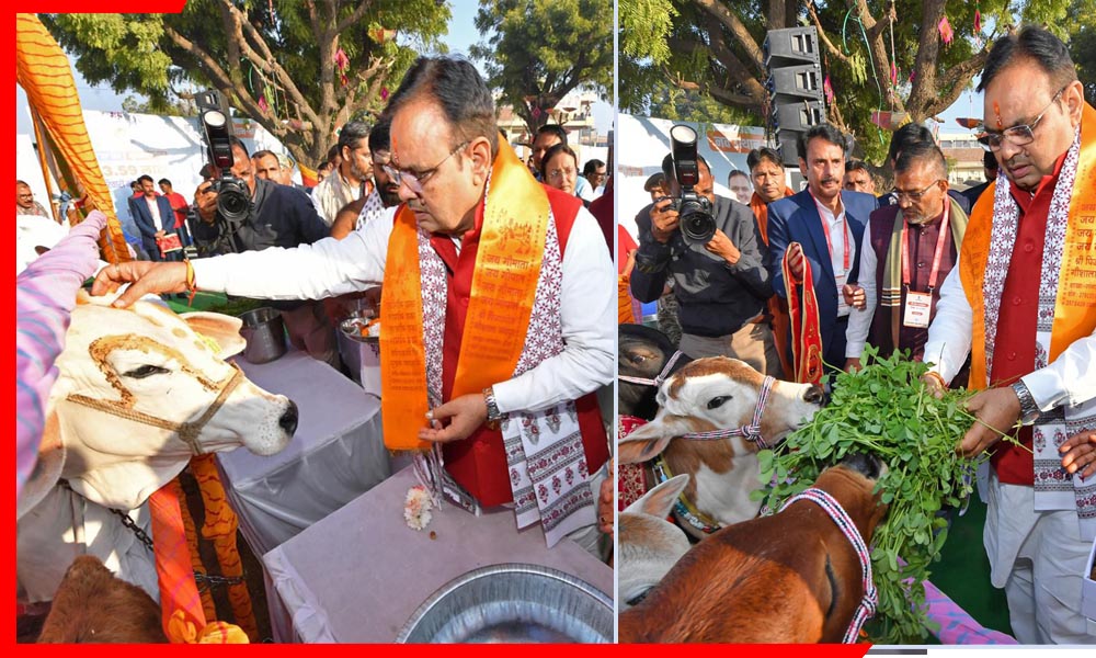 गायों की सेवा हमारी संस्कृति की आत्मा: पिंजरापोल गौशाला पहुंचे CM भजनलाल शर्मा, किया गोसेवा और रक्तदान शिविर का अवलोकन