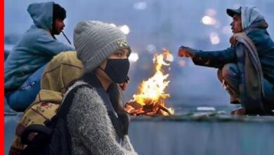 Cold Alert जारी! 31 दिसंबर तक ठंड का कहर