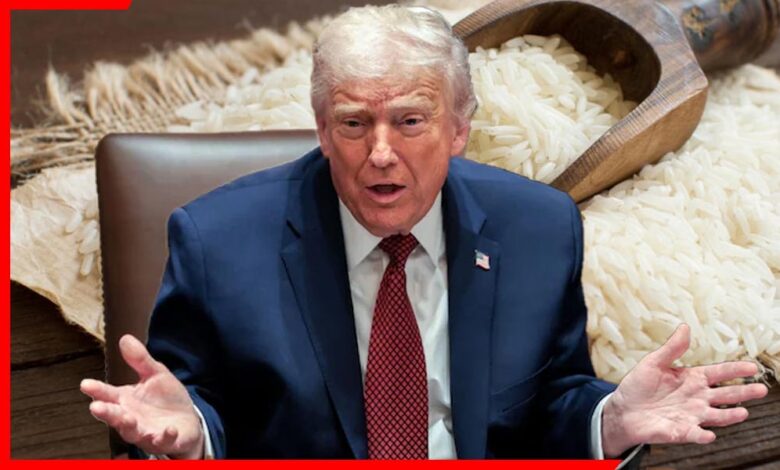 Donald Trump India Rice Dumping Issue