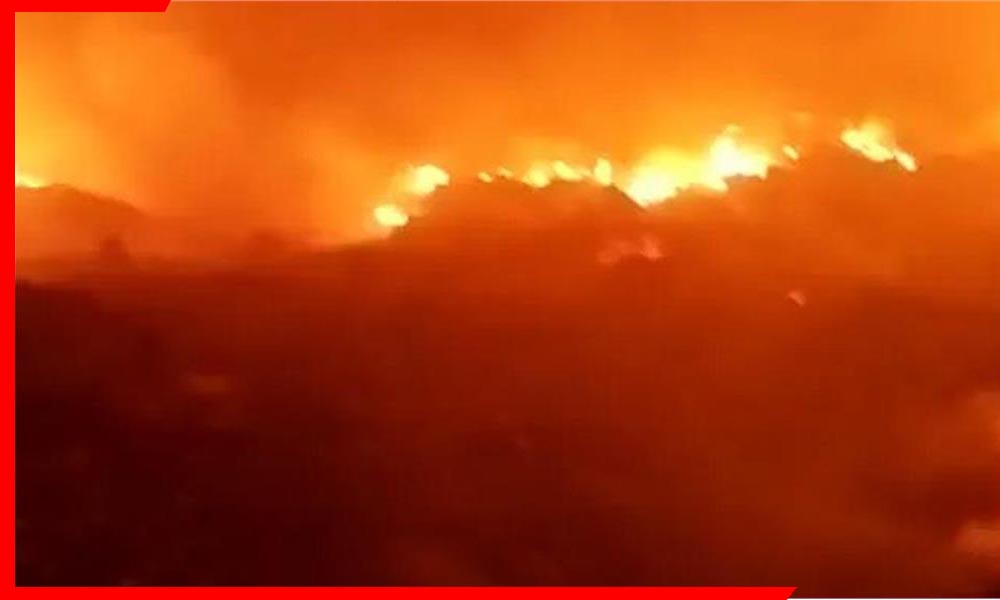 Narela plastic factory fire Delhi