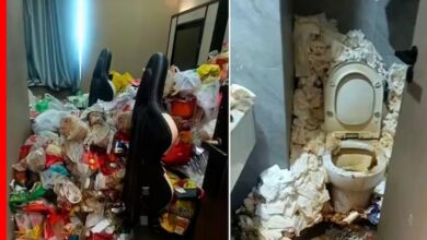 Online Gamer Hotel Incident China