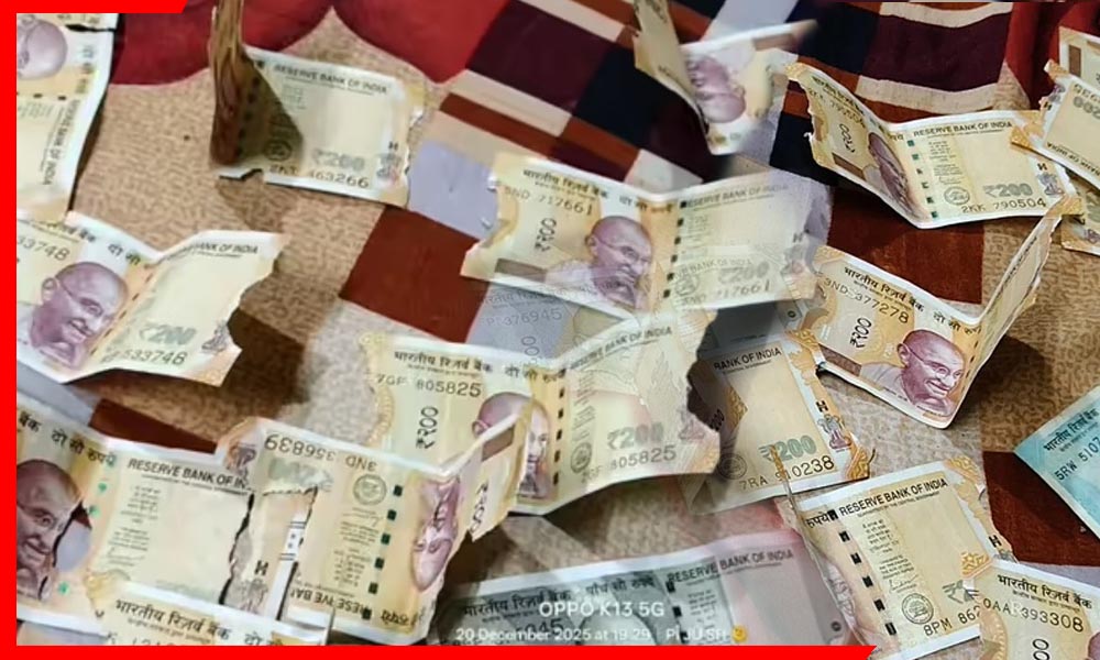 Rats Cut Cash RBI Rules: घर में रखा ₹10,000 कैश चूहों ने कुतर डाला! क्या RBI बदलेगी तिनका-तिनका हुए नोट? जानिए पूरा नियम