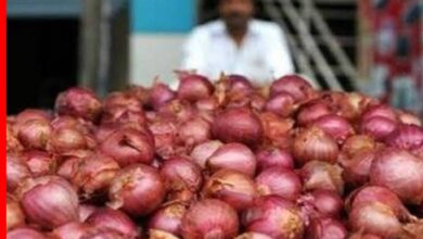 खंडवा मंडी में 1–2 रुपये किलो प्याज,