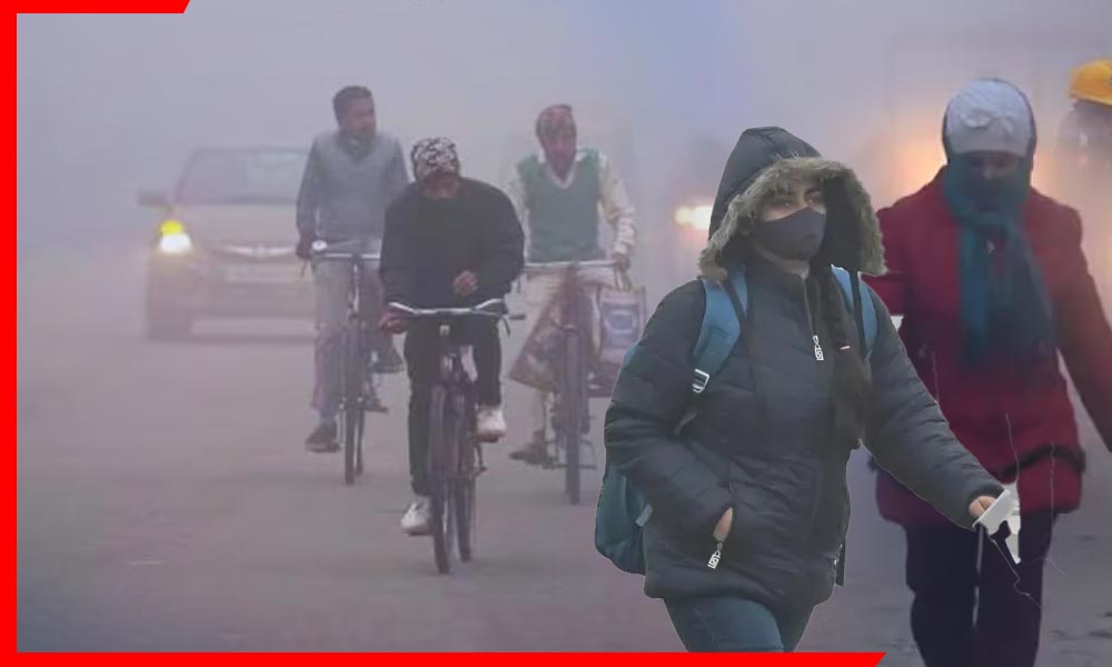 Delhi Weather New Year: सर्दी का सितम और कोहरे का कहर… दिल्ली में बारिश के साथ होगा नए साल का आगाज