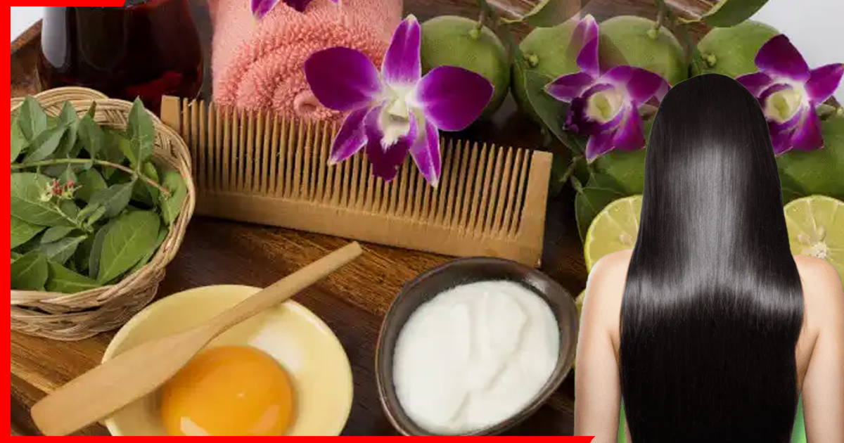 Homemade Hair Remedies: महंगे हेयर स्पा और केराटिन को कहें अलविदा! किचन की इन चीजों से पाएं मक्खन जैसे मुलायम और सिल्की बाल