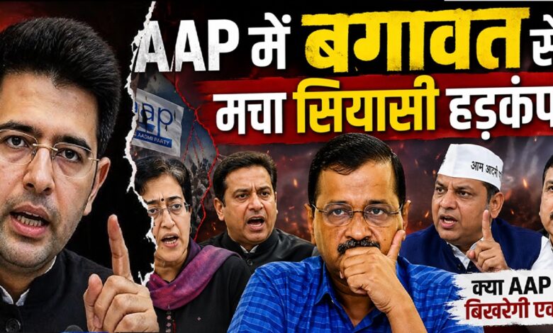 AAP Rajya Sabha MPs rebellion