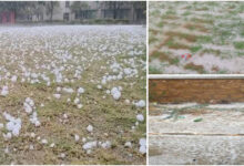 Rajasthan Hailstorm