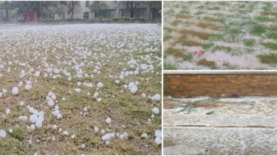 Rajasthan Hailstorm