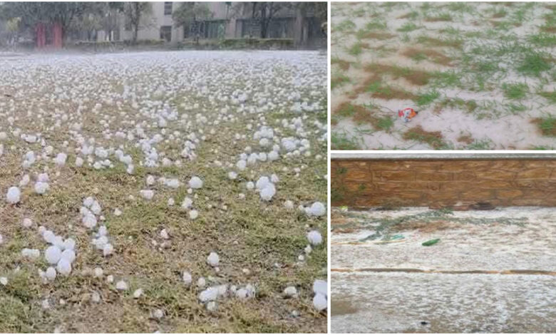 Rajasthan Hailstorm