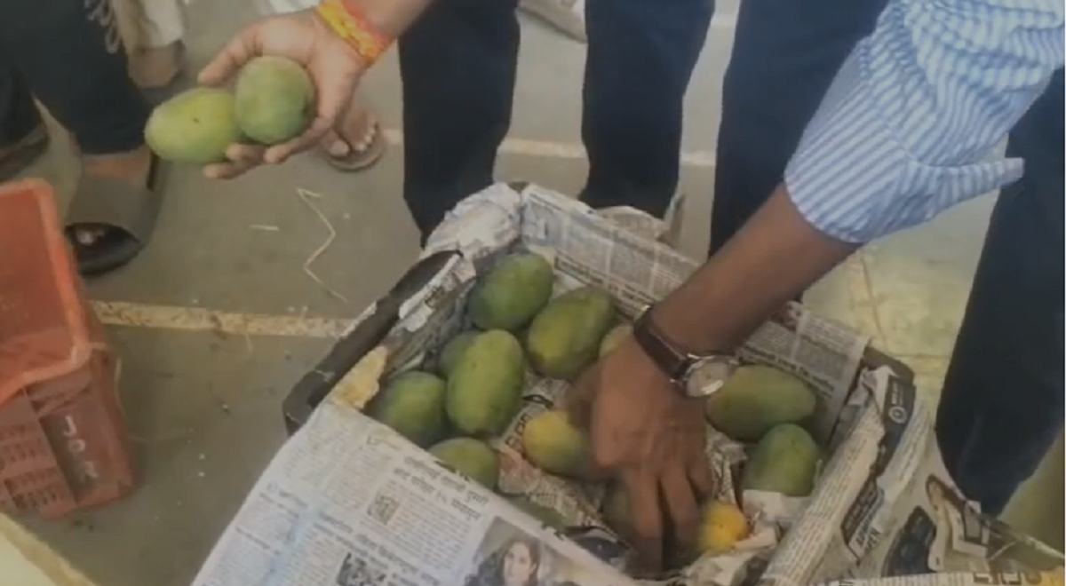मुहाना मंडी में फूड सेफ्टी टीम की बड़ी पहल: फल विक्रेताओं को वैज्ञानिक तरीके से फलों को पकाने का दिया प्रशिक्षण